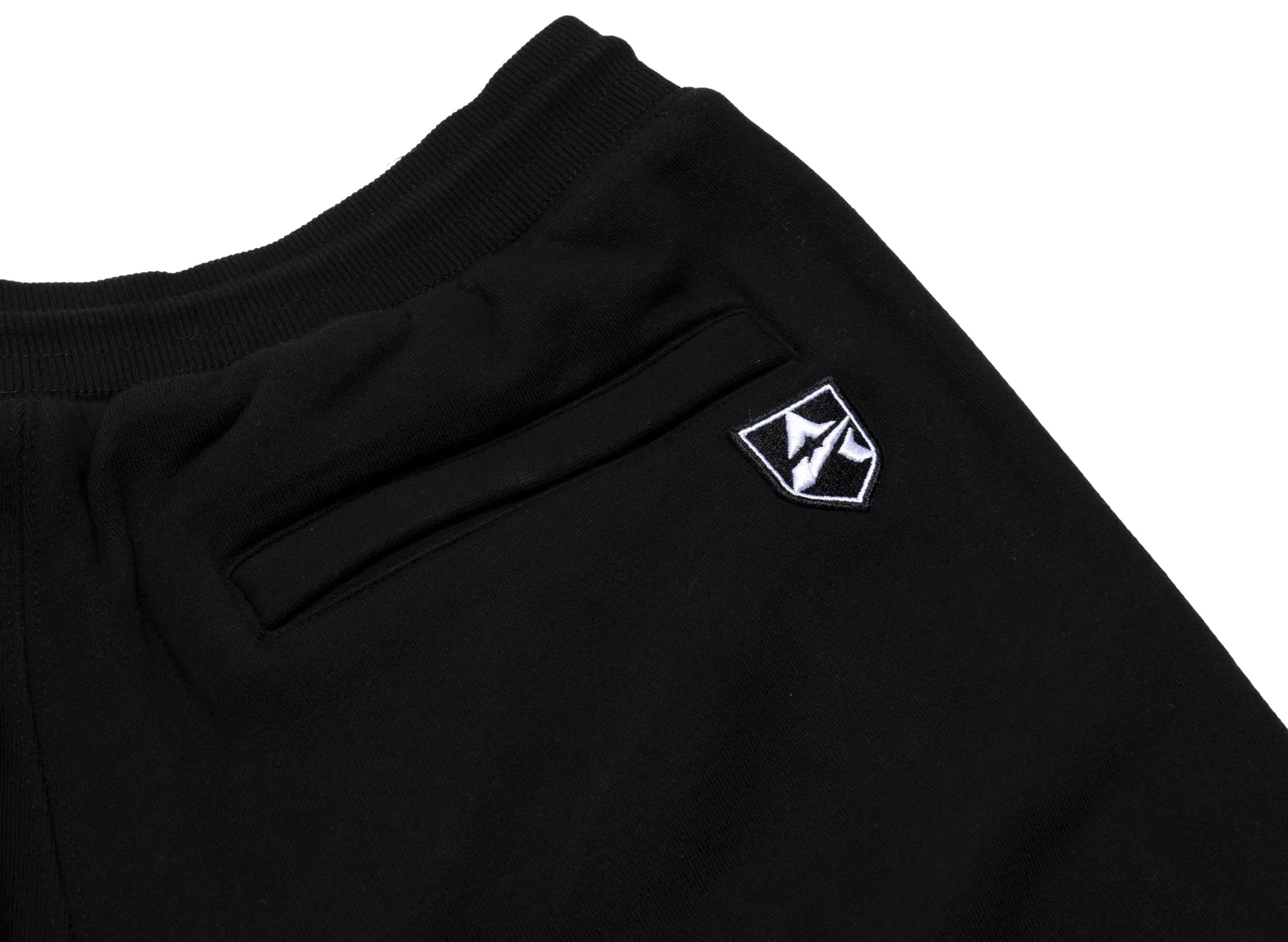 Avirex Icon Jogger Pants in Black